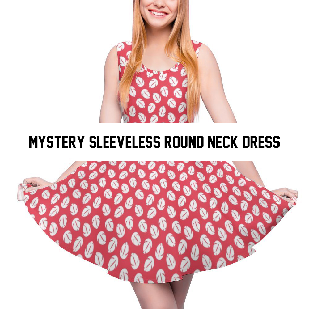 Mystery Women's Sleeveless Round Neck Skater Dress
