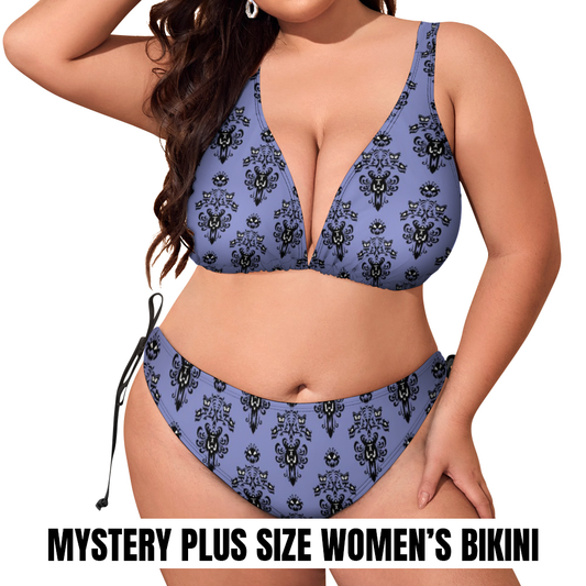 Mystery Plus Size Women's Two Piece Bikini