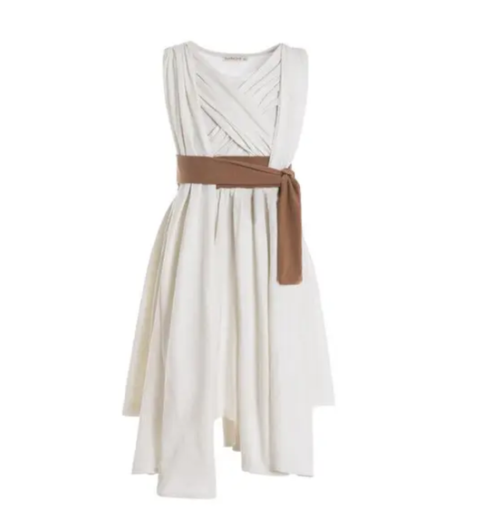 Skywalker Women's Character Dress
