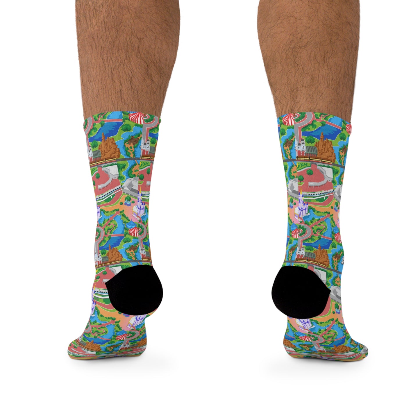 Park Map Socks