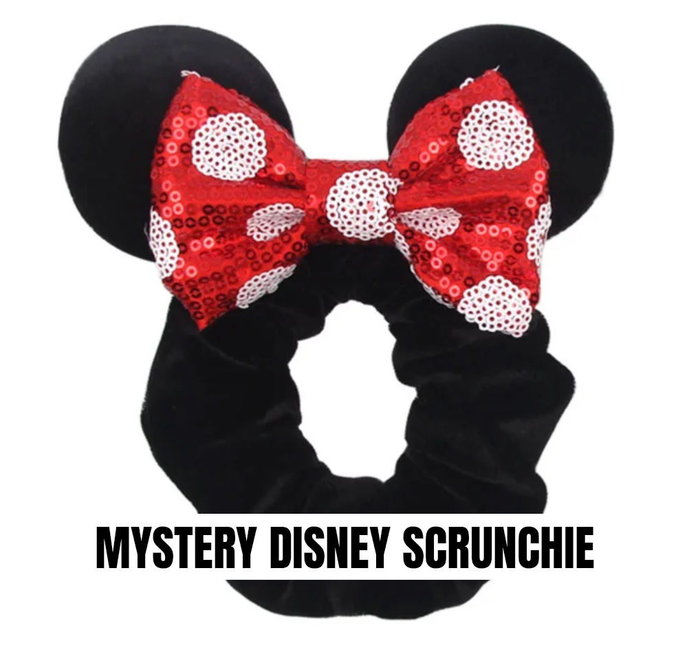 Mystery Disney Scrunchie - Ambrie