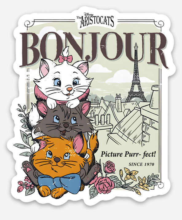 Bonjour Disney Sticker