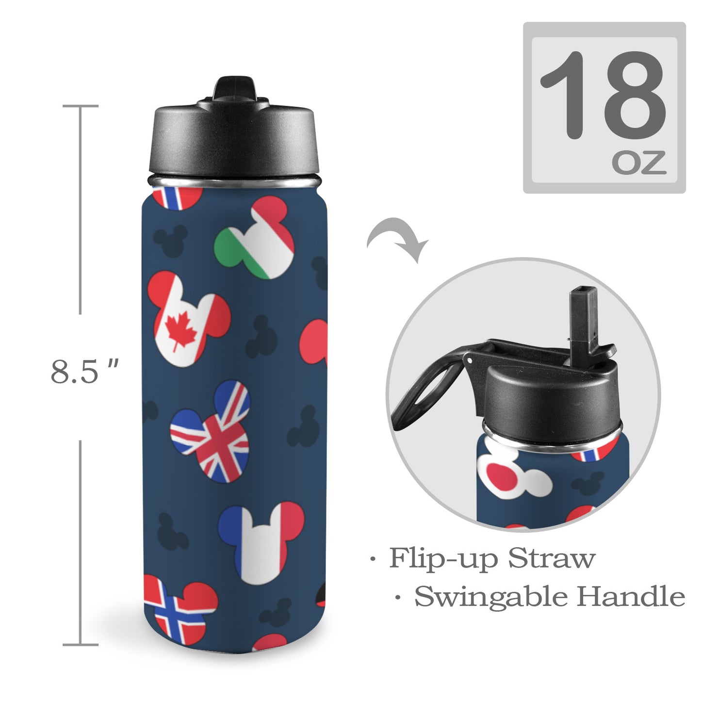 Mickey Flags Insulated Water Bottle